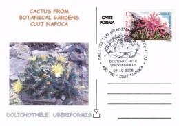 Cactus - Enveloppe - Carte - Document - Cactusses