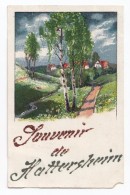 Souvenir De Hattersheim (am Main), 1919, Paillettes, éd. S. V. D. Serie 3196/4 - Hattersheim