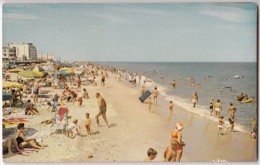 Looking North At Rehoboth Beach, Delaware, Unused Postcard [17553] - Andere & Zonder Classificatie