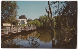 Children's Fishing Pier, Lake Gerar, Rehoboth Beach, Delaware, Unused Postcard [17558] - Other & Unclassified