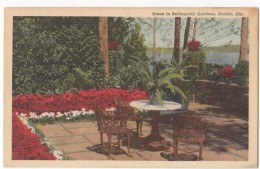 Scene In Bellingrath Gardens, Mobile, Alabama, Unused Postcard [17573] - Mobile