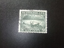 NEWFOUNDLAND TERRANOVA TERRE NEUVE 1923 - 24 Yvert Nº 124 º FU - SG 156 º FU - 1908-1947