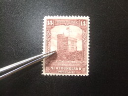 NEWFOUNDLAND TERRANOVA TERRE NEUVE 1928 Yvert Nº 141 * MH - SG 174 * MH - 1908-1947