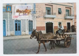 Portugal DONKEY MAXI CARD 1979 - Esel