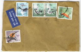 HONG KONG - 20?? - 5 Stamps With Birds - Air Mail - Viaggiata Da Fanling - Brieven En Documenten