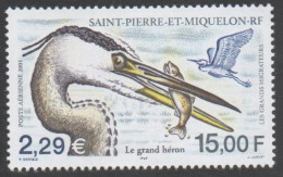 Saint-Pierre Et Miquelon - Faune - Oiseaux - Grands Migrateurs : Tête De Grand Héron (Ardea Herodias) - Neufs
