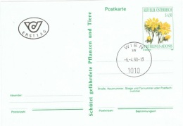 FLORA-L3 - AUTRICHE Entier Postal Carte Avec Adonis Printannière, Obl. 1er Jour 1990 - Briefkaarten