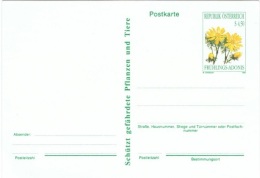 FLORA-L2 - AUTRICHE Entier Postal Carte Avec Adonis Printanière - Briefkaarten
