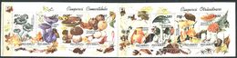 164 ROUMANIE 1994 - Champignon (Yvert 4178 85) Carnet Neuf ** (MNH) Sans Trace De Charniere - Booklets