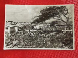 View From Lago Heights With Divi Divi Tree 1951 Sent From Aruba St. Nicolas - Aruba