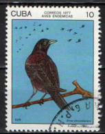 CUBA - 1977 - UCCELLO - BIRD - USATO - Oblitérés
