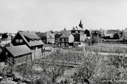 ORP-JAUCHE.  JAUCHE.   PANORAMA.  CARTE PHOTO. - Orp-Jauche