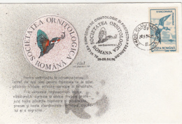 43164- POMARINE SKUA, BIRDS, SPECIAL COVER, 1996, ROMANIA - Albatros