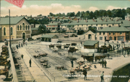 GB NEWTON STEWART / The Castle Market / COLORED CARD - Dumfriesshire