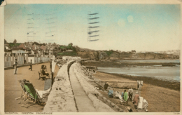 GB PAIGNTON / Preston Promenade / COLORED CARD - Paignton