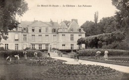 CPA     -     LE MESNIL ST DENIS       -      LE  CHATEAU   -   LES  PELOUSES - Le Mesnil Saint Denis