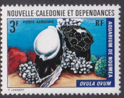 New Caledonia SG 521 1973 Marine Fauna, 3 F Common Egg Cowrie, MNH - Ongebruikt