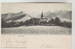 CPA PIONNIERE AESCHI (Suisse-Soleure) - Vue Générale - Aeschi