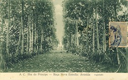 SÃO S. TOMÉ, THOMÉ, ILHA DO PRINCIPE, Roça Nova Estrella, 2 Scans - Sao Tome And Principe