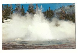 Echinus Geyser - Yellowstone National Park - A Spectacular Geyser Erupting To Heights Of 75 Feet - Yellowstone