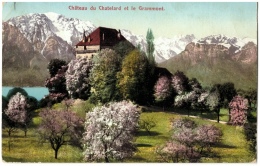 CPA Frankreich/France: Château Du Chatelard Et Le Grammont, 1907, 2 Scans - Auzances