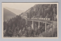 AK DE BW HÖLLSTEIG Ungebraucht Ravennabrücke Foto C & Chr Franz - Höllental