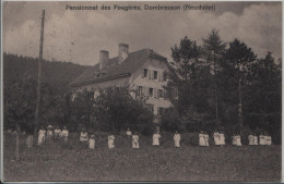 Dombresson (NE) Pensionat Des Fougère - Dombresson 
