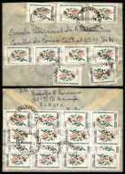 Cover Sent To Buenos Aires On 22/JA/1988 Cancelled In "EL TRIUNFO", With INFLA Postage Of A0.75 - Lettres & Documents