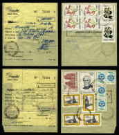 2 Postal Money Orders With Postmarks Of "PALMAR GRANDE" (Corrientes) For 20/SE And 10/FE/1983, And INFLA Postages... - Lettres & Documents