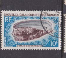 New Caledonia SG 448 1968 Sea Shells 10 F SGeography Cone Used - Gebruikt