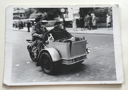 DOISNEAU Triporteur Avec Madame Monsieur Et Le Chien Dans Paris 1995 - Doisneau