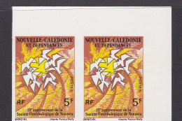 New Caledonia SG 558 1975 10th Anniversary Ornithological Society Imperforated Pair MNH - Neufs