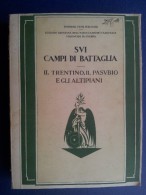 M#0Q54 SUI CAMPI DI BATTAGLIA - IL TRENTINO IL PASUBIO E GLI ALTIPIANI Touring Ed./VAL D'ASSA/CAZZANO/CESUNA/CAORIA - Italien