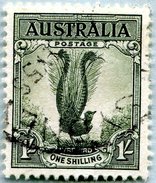 N° Yvert & Tellier 88 - Timbre D'Australie (Confédération) (1932) U (Oblitéré) - Oiseau Lyre - Oblitérés
