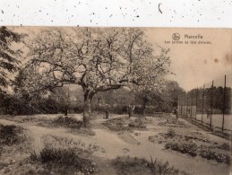 MARNEFFE LES JARDINS DE 1 ERE DIVISION (JARDINIERS) - Burdinne