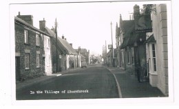 UK2565   In The Village Of SHARNBROOK - Bedford