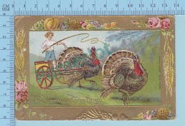 Germany - Embossed Thanksgiving Uncle Sam Dubble Turkey Cart 1909 By  Hofmahn , 2 Scans - Thanksgiving