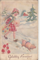 44185- MUSHROOMS, PIG, GIRL, WINTER LANDSCAPE - Mushrooms