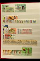 BRITISH GUIANA/GUYANA, PARAGUAY, PERU NEVER HINGED MINT SETS, A Collection In A Stock Book Of Sets Spanning The... - Altri & Non Classificati