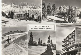 HOTEL ALPINA FLUMSERBERG - Flums