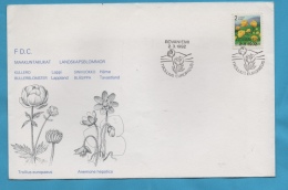 FINLANDE ENVELOPPE FDC ROVANIEMI 1992 ILLUSTREE THEME FLEURS - Cartas & Documentos