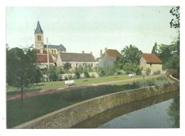 18  SANCERGUES  -  LE JARDIN ET L EGLISE  -  CPM 1950/60 - Sancergues