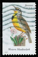 Etats-Unis / United States (Scott No.4882 - Oiseaux Américains / American Birds) (o) P2 - Usados