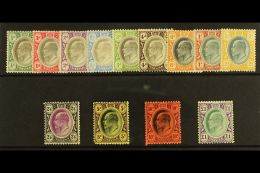 TRANSVAAL 1904 - 09 Ed VII Set To £1 Complete On Ordinary Paper, SG 260/72, Very Fine And Fresh Mint. (13... - Non Classificati