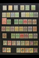 TRANSVAAL 1885-1909 MINT SELECTION On A Stock Page. Includes 1885-93 5s P12½ X 12, 1894 Range To 1s, 1895... - Non Classificati