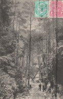 South Australia  - Nellies Glen And Jenolan Caves - Scan Recto-verso - Other & Unclassified