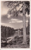 AK Bayerischer Wald - Gr. Arbersee - 1938 (23545) - Regen