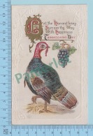 CPA Embossée, Thanksgiving Day, Dinde Et Raisins, Turkey And Grape - Postcard Carte Postale 2 Scans - Thanksgiving