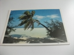 STORIA POSTALE FRANCOBOLLO CONCHIGLIA SHELL MALDIVES SPIAGGIA - Maldiven