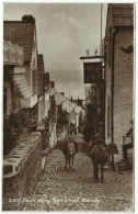 England - CLOVELLY: Down Along High Street With Mules - Clovelly